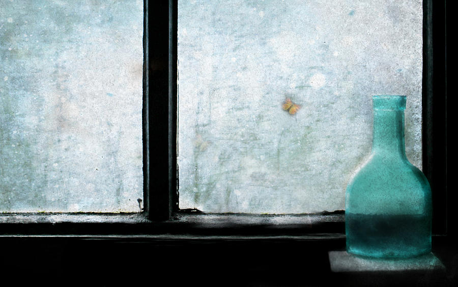 The Blue Bottle And The Butterfly Photograph by Delphine Devos