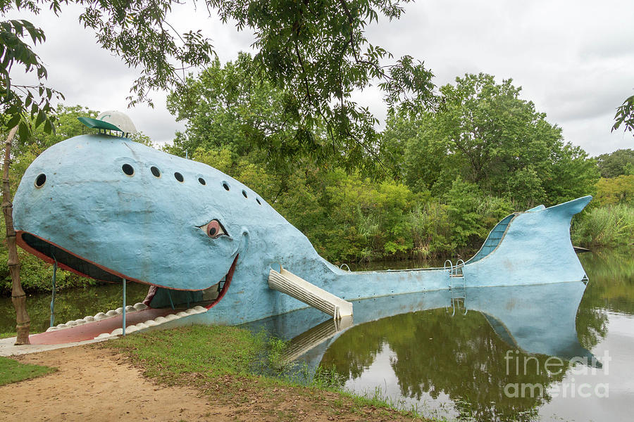 The Blue Whale Photograph by Jo Ann Gregg