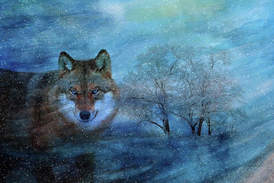 The Blue Wolf Digital Art by Doreen Erhardt
