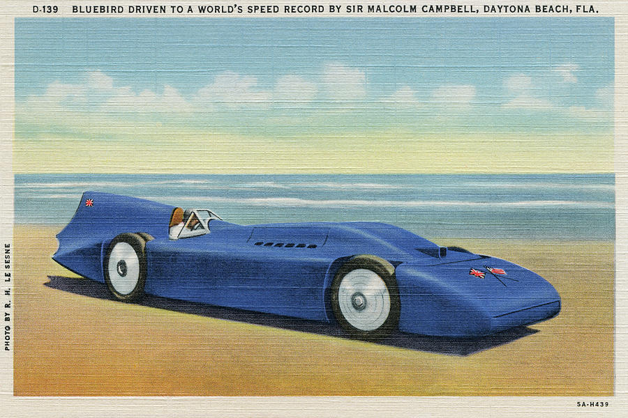 The BlueBird 5 Painting by R.H. Le Sesne