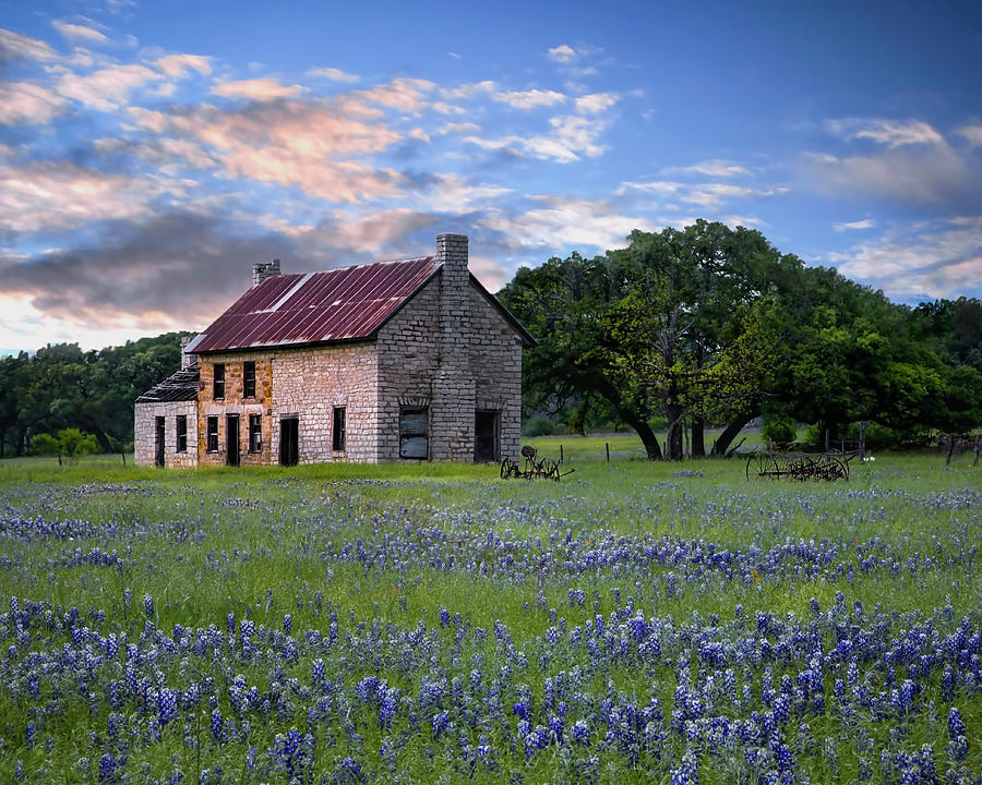 Texas House Photograph by Harriet Feagin Photography Fine
