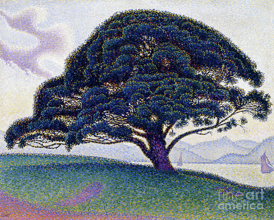 The Bonaventure Pine, 1893 Painting by Paul Signac
