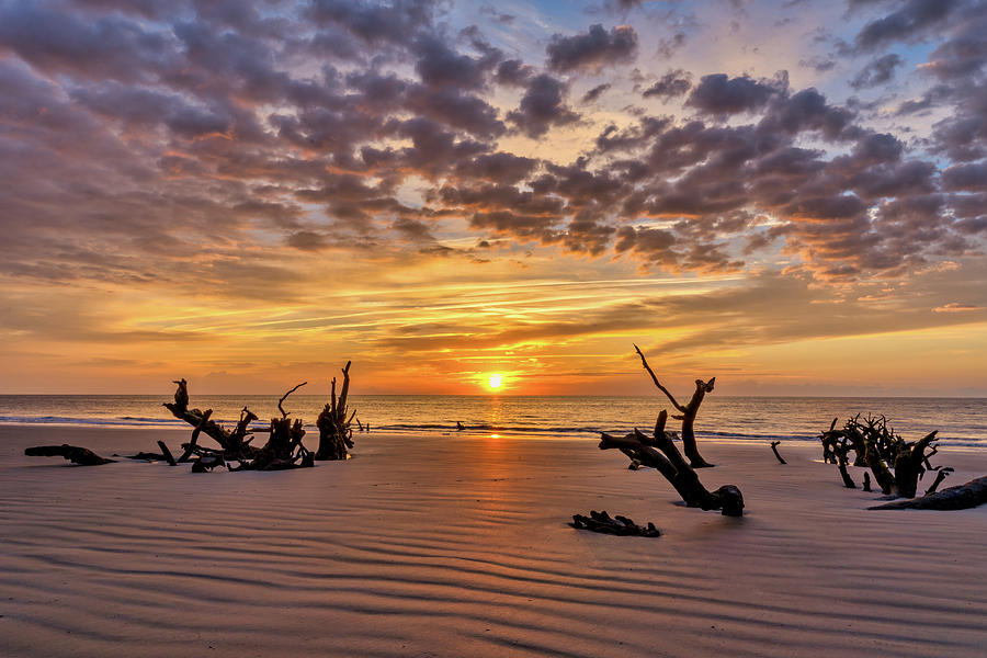 The Boneyard Photograph by Robert Gecy Fine Art America