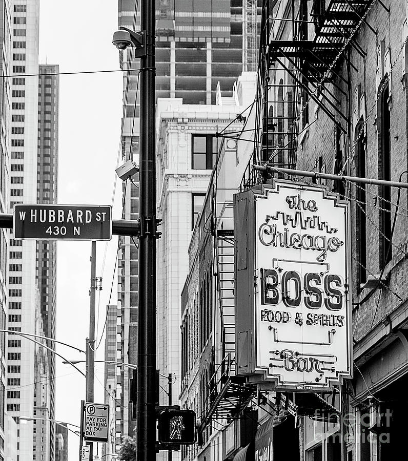 The Boss Photograph by Lenore Locken