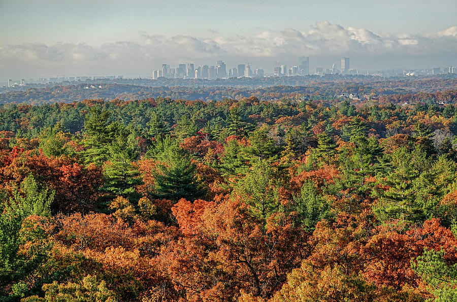 The Boston Skyline from the Lynn Woods Fall Foliage Lynn Massachusetts Photograph by Toby McGuire