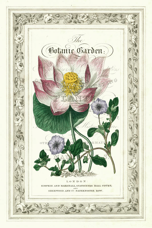 Flower Painting - The Botanic Garden I by Vision Studio
