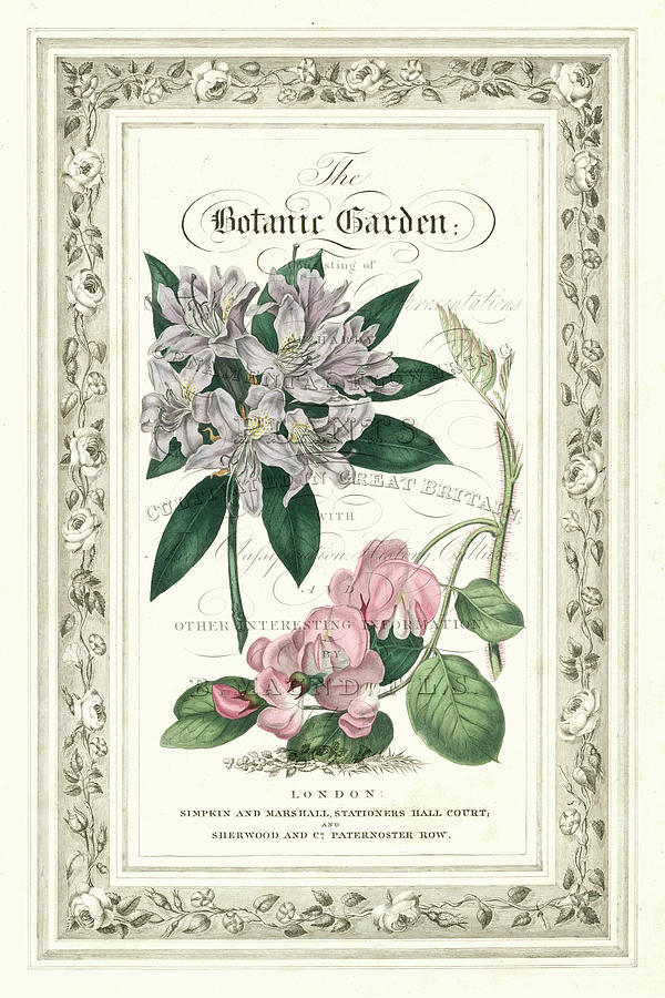 Flower Painting - The Botanic Garden II by Vision Studio