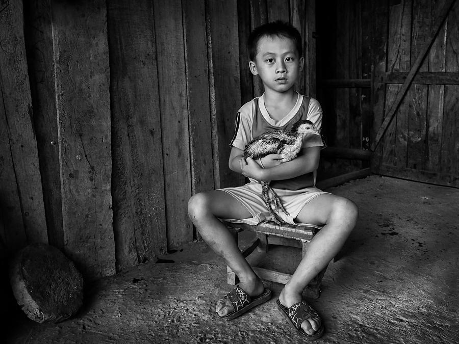 The Boy And The Chicken Photograph by Carlos Lopes Franco