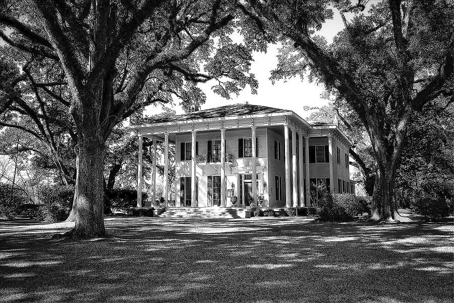 The Bragg - Mitchell Mansion  Photograph by Doc Braham