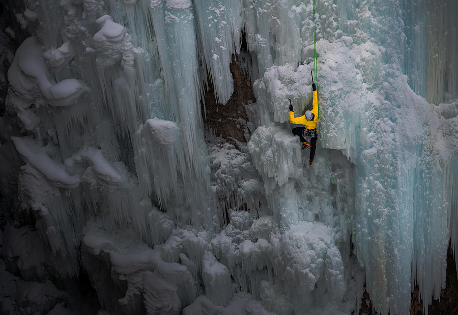Winter Photograph - The Bravery by Bing Li