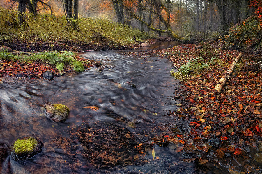 The Breath of Autumn by Vlad Sokolovsky The Breath of Autumn by Vlad Sokolovsky