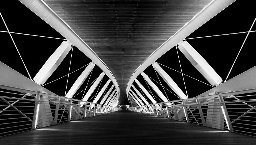 The Bridge Photograph by Tamara Cohen