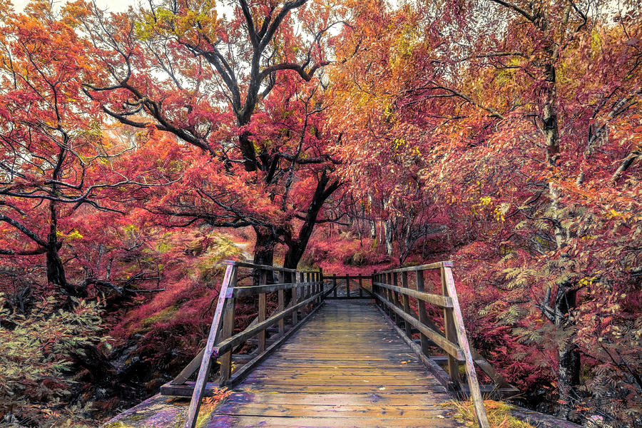 Fall Photograph - The Bridge to Ben Nevis in Autumn by Debra and Dave Vanderlaan