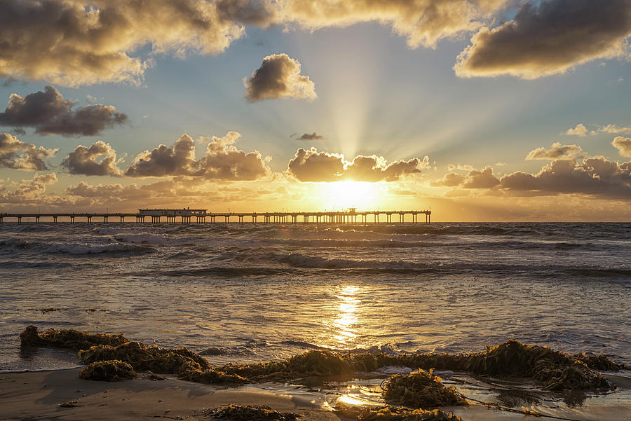 The Brightest Light In OB by Joseph S Giacalone The Brightest Light In OB by Joseph S Giacalone