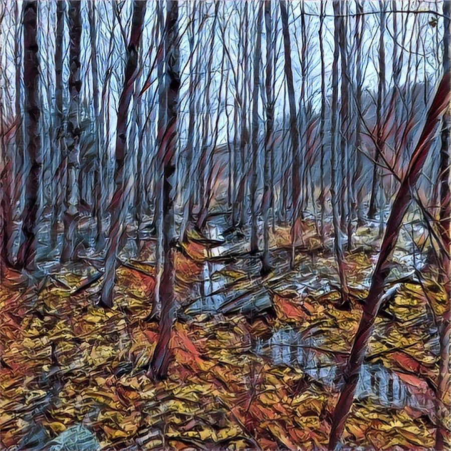 The brook at the end of the beaver pond Digital Art by Steve Glines