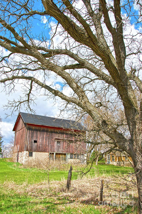 The Rusty Brown Barn Photograph by Billy Knight