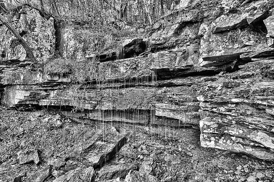 The Buffalo River Headwaters Black and White Photograph by JC Findley