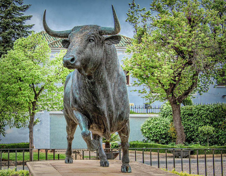 The Bull, An Icon of Spain Photograph by Marcy Wielfaert