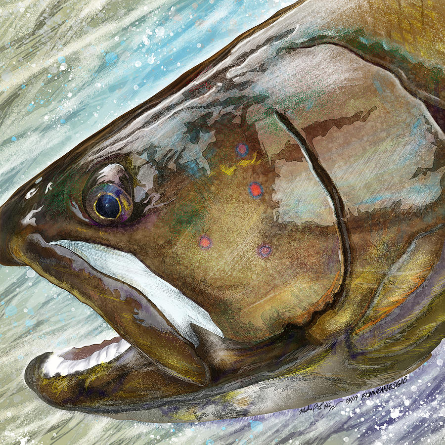 The Bull, Bull Trout Head Painting by Michael Higgins | Fine Art America