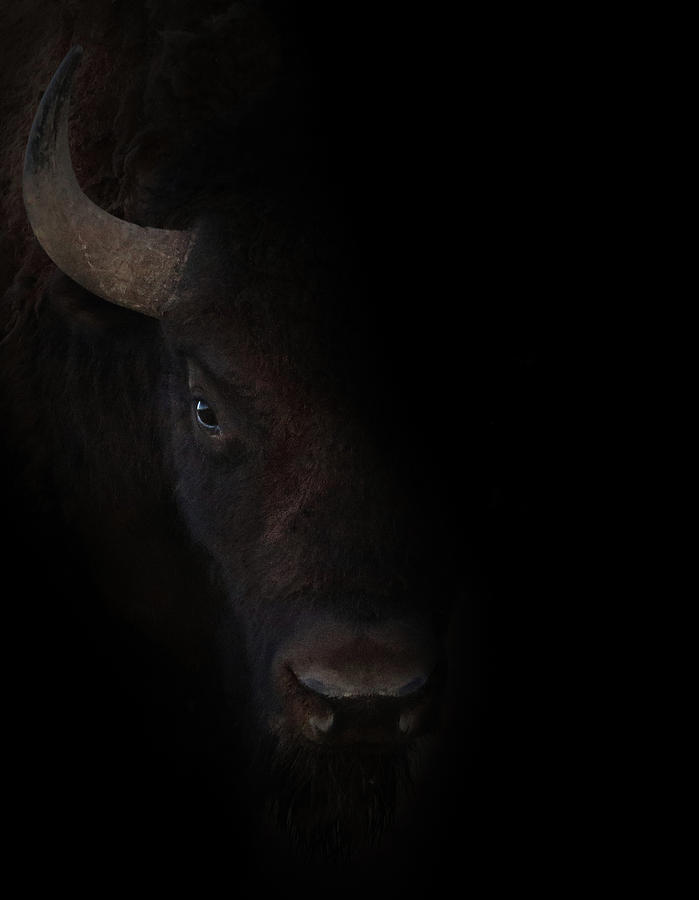 The Bullseye by Brian Gustafson The Bullseye by Brian Gustafson