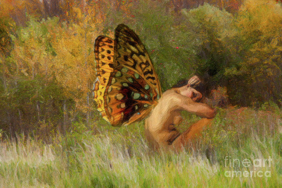 The Burden of Wings by C L Lassila The Burden of Wings by C L Lassila