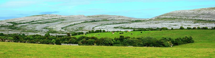 The Burren, County Clare, Ireland Photograph by Design Pics/peter Zoeller