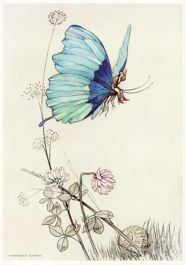 The Butterfly Took Wing Drawing by Heritage Images