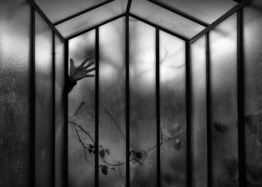 The Cage Photograph by Marc Apers