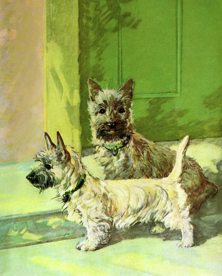The Cairn Terrier Pair Painting by Diana Thorne The Cairn Terrier Pair Painting by Diana Thorne