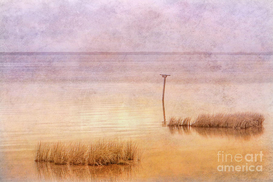 The Calm of the Water Digital Art by Randy Steele