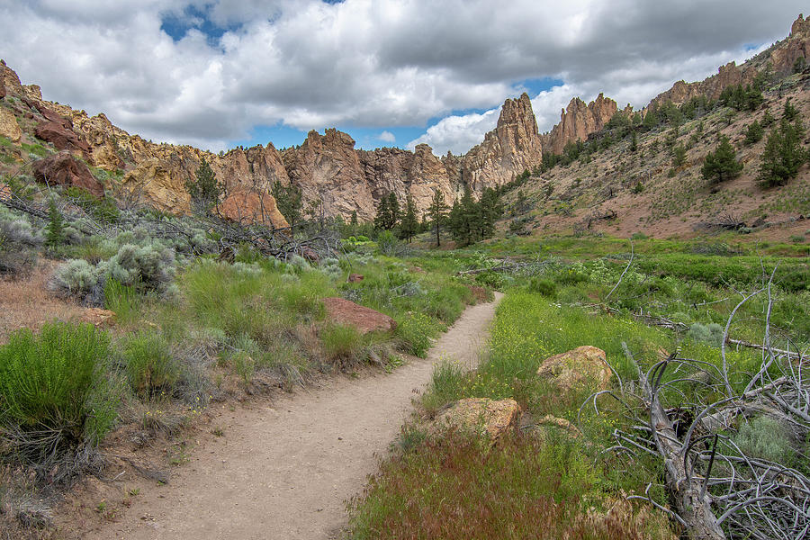 The Canyon Trail at Smith Rock by Matthew Irvin The Canyon Trail at Smith Rock by Matthew Irvin