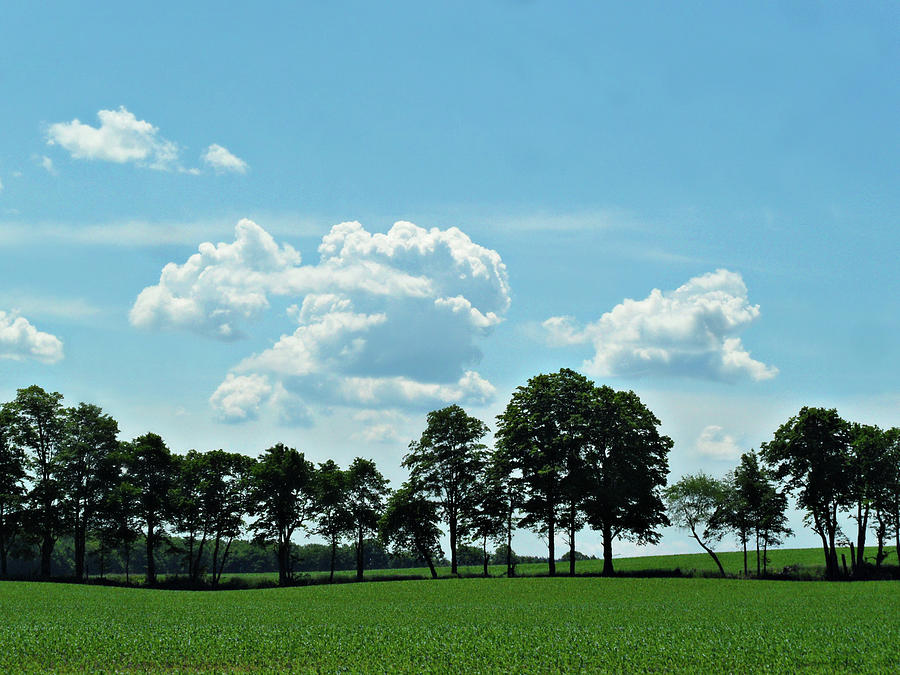 The Captivating Country Side Photograph by Cyryn Fyrcyd