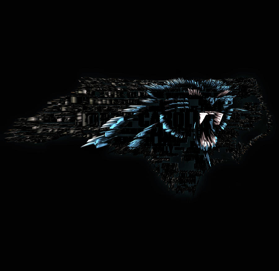 The Carolina Panthers 3p Mixed Media by Brian Reaves