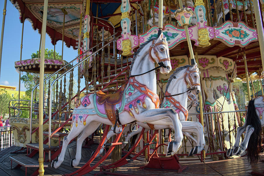 The Carousel Horses In Skanderbeg Square Photograph