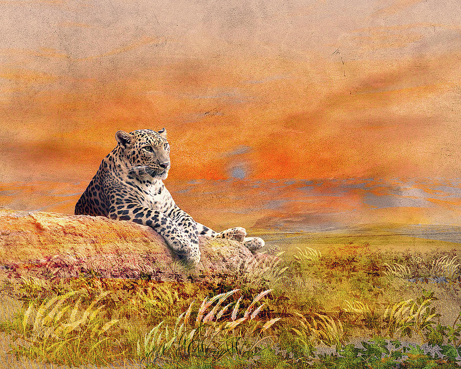 Leopard Mixed Media - The Cat by Ata Alishahi