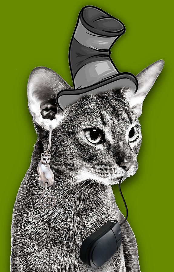 The Cat In The Hat by Marvin Blaine The Cat In The Hat by Marvin Blaine