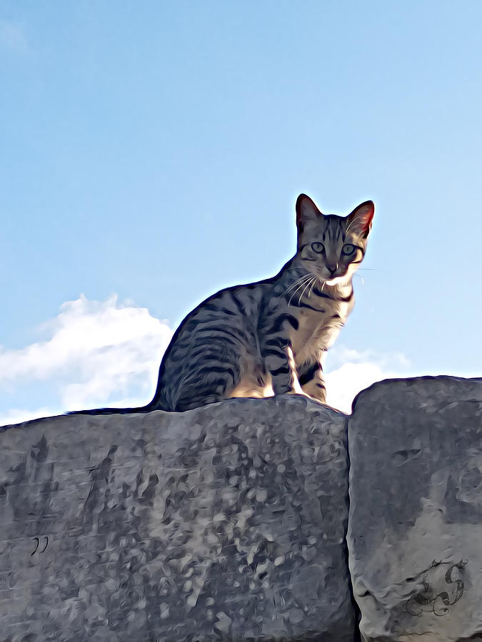 The Cat by Lucia Sirna The Cat by Lucia Sirna