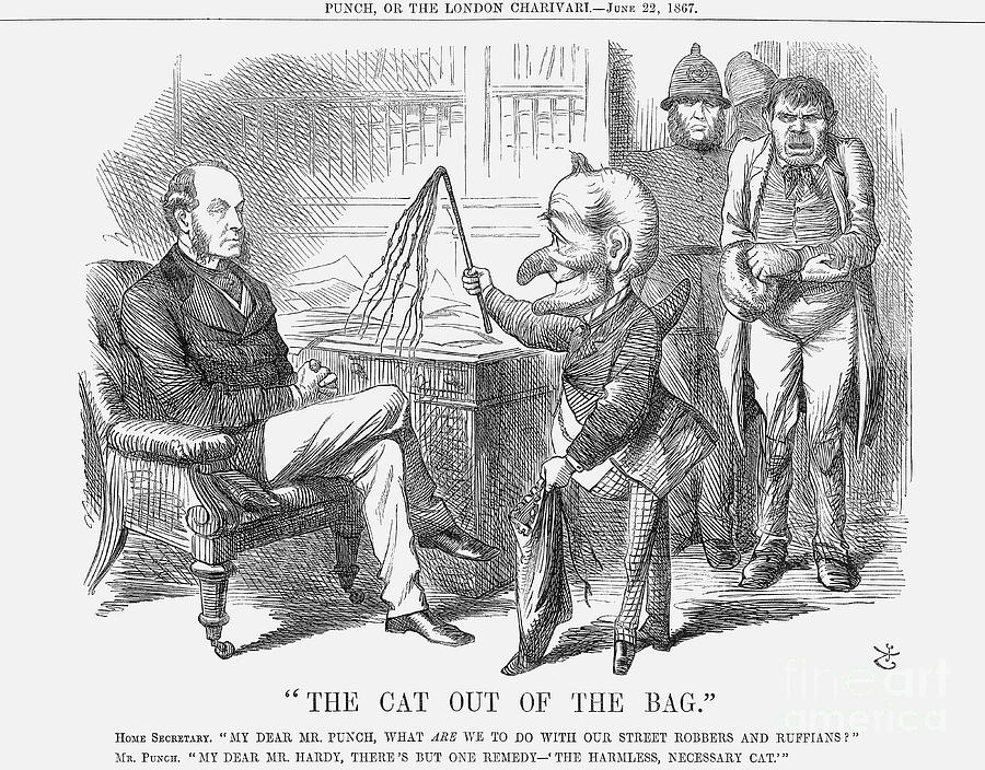 The Cat Out Of The Bag, 1867. Artist Drawing by Print Collector