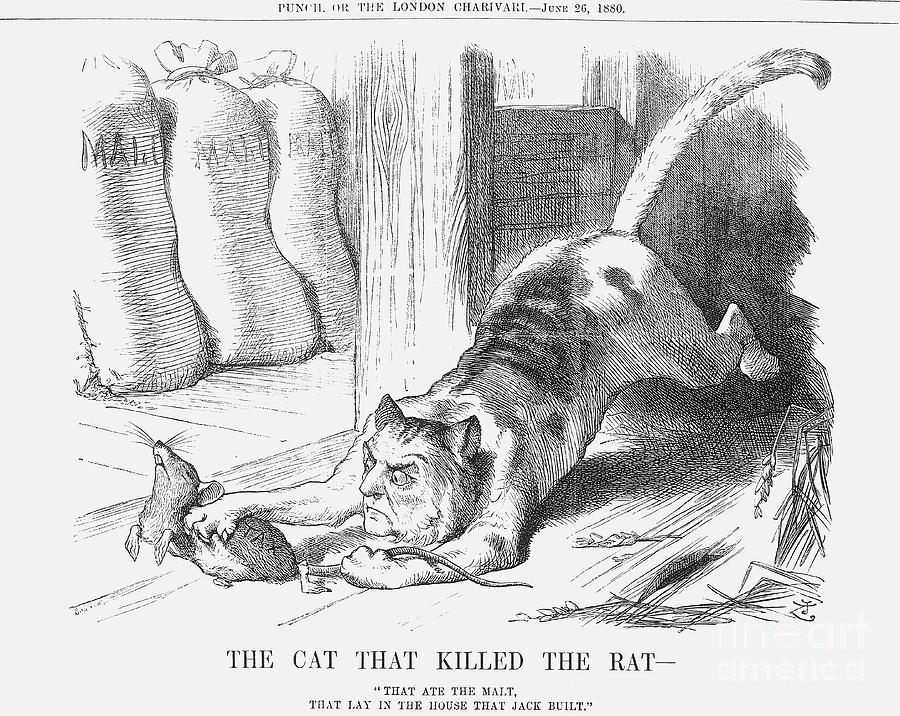 The Cat That Killed The Rat, 1880 Drawing by Print Collector