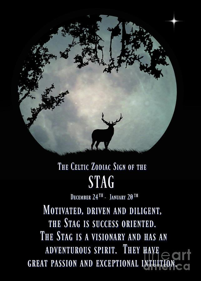 The Celtic Zodiac Sign of the Stag, Capricorn Photograph by Stephanie Laird