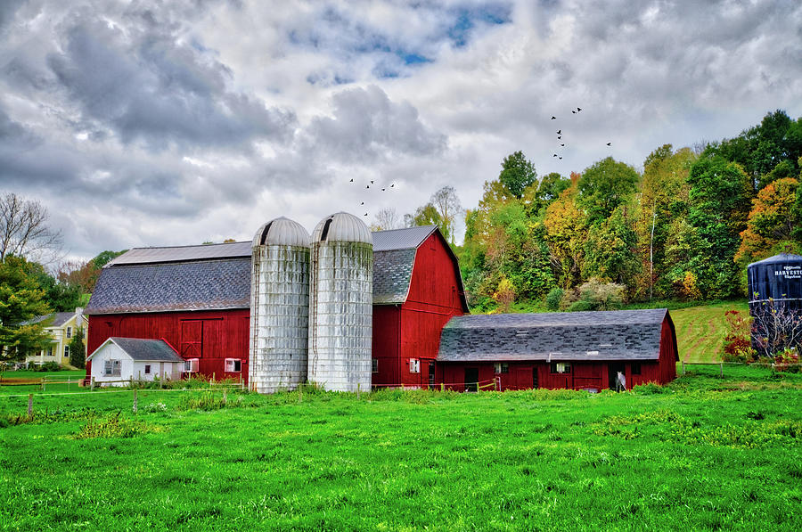 Farm Photograph - The Charm of Farm Life in the Finger Lakes by Lynn Bauer