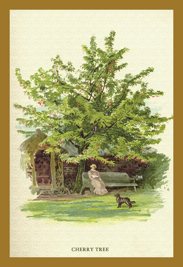 Tree Painting - The Cherry Tree by W.H.J. Boot