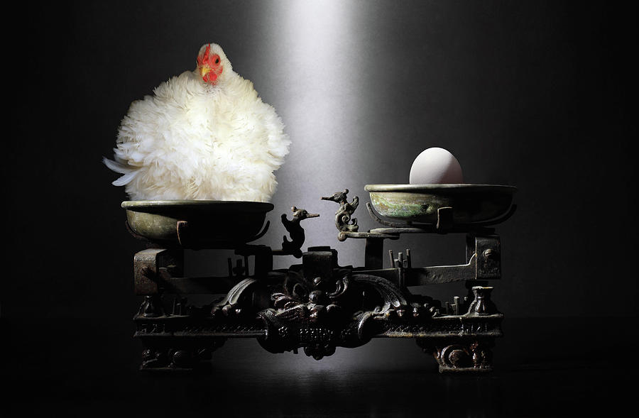 The Chicken Or The Egg? Photograph by Victoria Ivanova