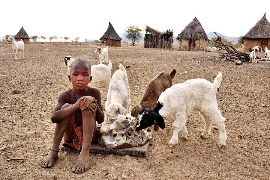 Goat Photograph - The Child And The Goats by Giuseppe Damico