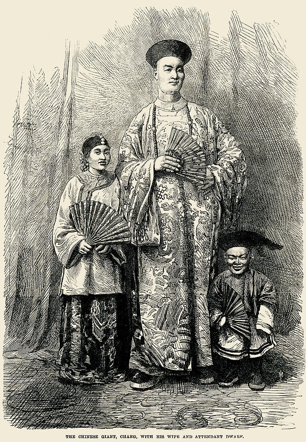 The Chinese giant, Chang, with his wife and attendant dwarf Painting by Unknown