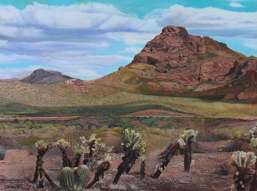 The Cholla at Mount McDowell, Arizona by Barbara Barber The Cholla at Mount McDowell, Arizona by Barbara Barber