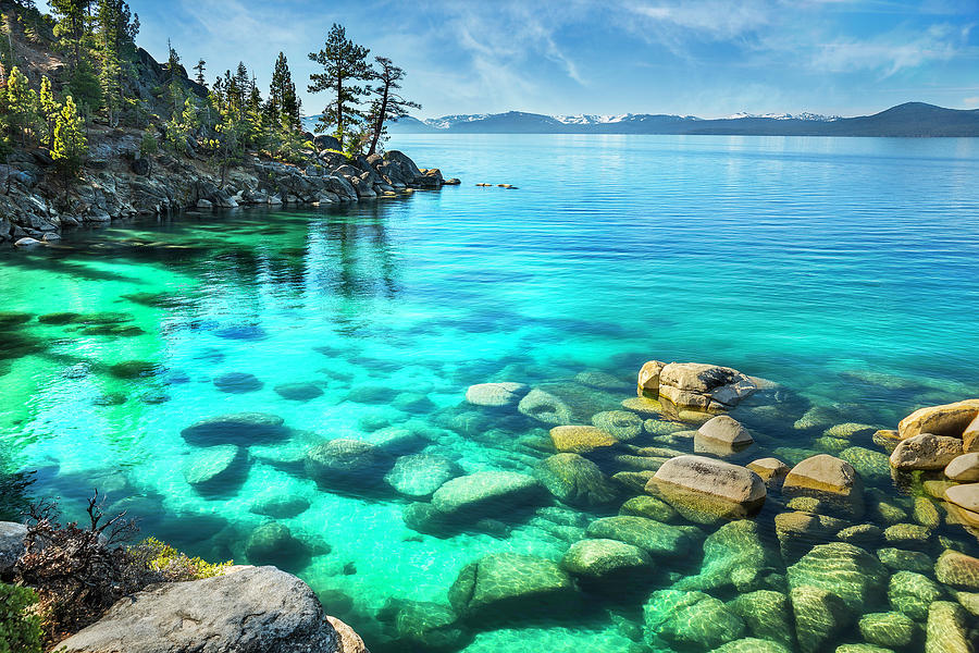 A Photo Of The Clear Blue Green Water Of Lake Tahoe. Photograph by Bill