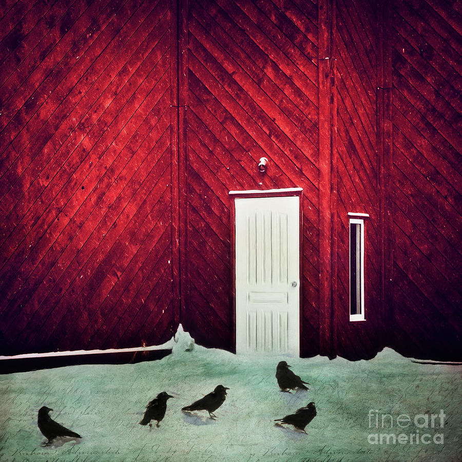 The closed door and the ravens Photograph by Priska Wettstein