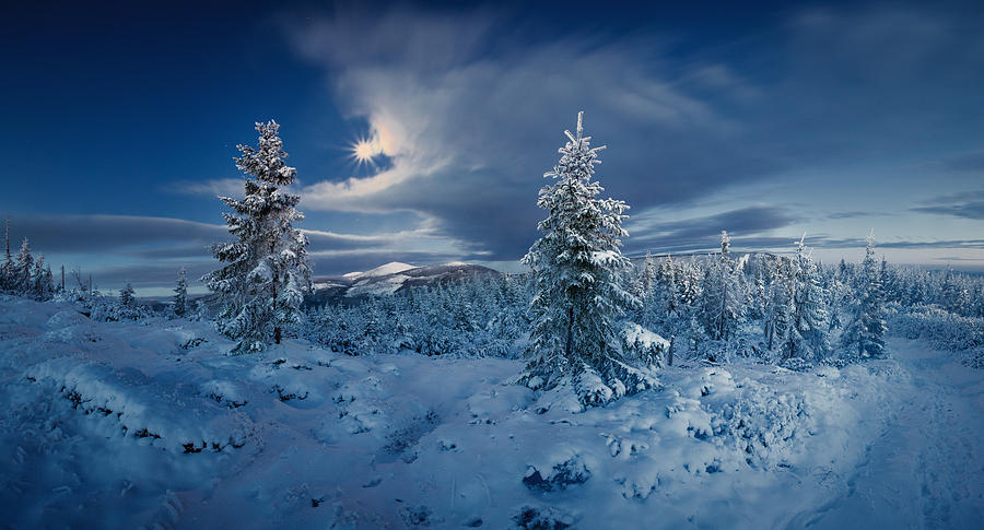 Winter Photograph - The Cold Eternity by Izabela Laszewska-mitrega/darek Mitr?ga