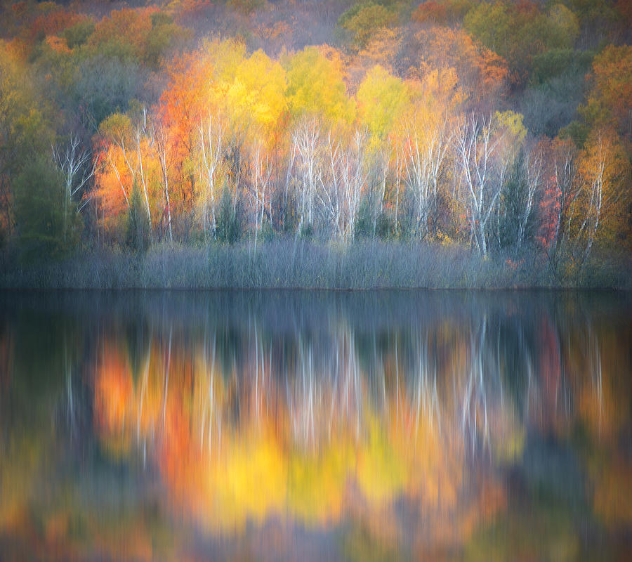 The Color Of Fall Photograph by Li Jian